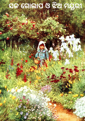 ସଜ ଗୋଲାପ ଓ ଝିଅ ମୟୂରୀ