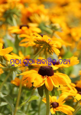 ମୁଠା ମୁଠା ଅବାଞ୍ଛିତ ତଥ୍ୟ