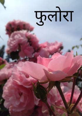 फुलोरा