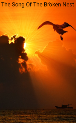The Song Of The Broken Nest