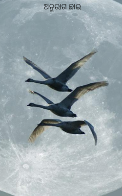 ଅନୁରାଗ ଛାଇ