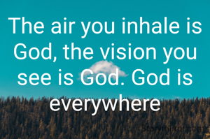 The air you inhale is God, the vision you see is God. God is everywhere