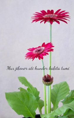 Mur jibonor ati hundor kabita tumi