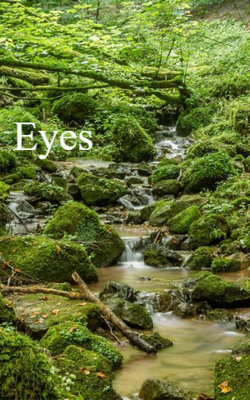 Eyes