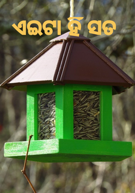 ଏଇଟା ହିଁ ସତ