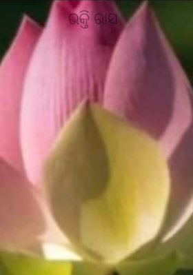 ଭକ୍ତି ରାସ