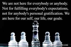 We are not here for everybody or anybody. Not for fulfilling everybody's expectations, not for anybody's personal gratification. We are here for our self, our life, our goals.