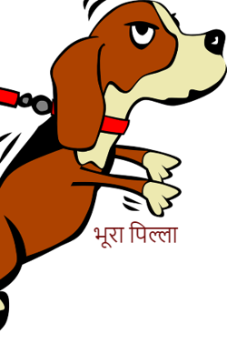 भूरा पिल्ला