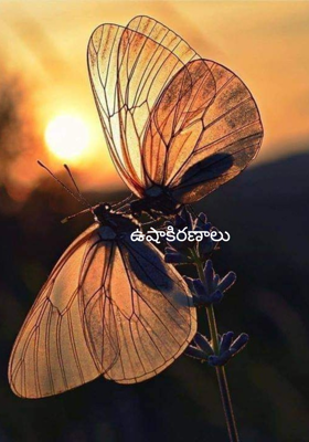 ఉషాకిరణాలు