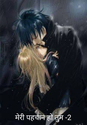 मेरी पहचान हो तुम -2