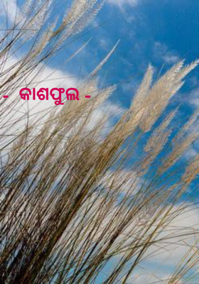 -  କାଶଫୁଲ -