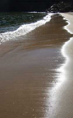 বালিতে প্রেমের খোঁজ