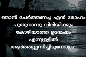 ഞാൻ ചേർത്തണച്ച എൻ മോഹം
പുതുനാമ്പു വിരിയിക്കും
കോഴിയാത്ത ഉന്മേഷം
എന്നുള്ളിൽ ആർത്തുല്ലസിച്ചിടുന്നോളം 