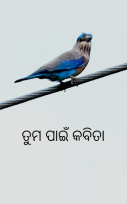 ତୁମ ପାଇଁ କବିତା