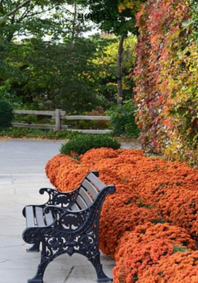 મળવું છે