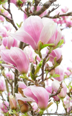 My Child On Rainy Days