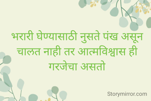भरारी घेण्यासाठी नुसते पंख असून चालत नाही तर आत्मविश्वास ही गरजेचा असतो