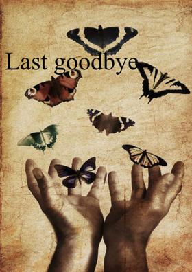 Last Goodbye