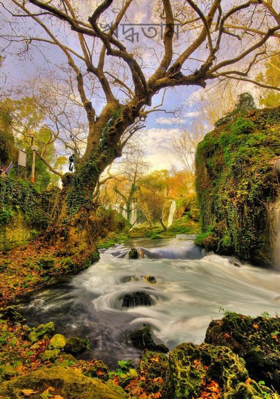 ঋদ্ধতাম