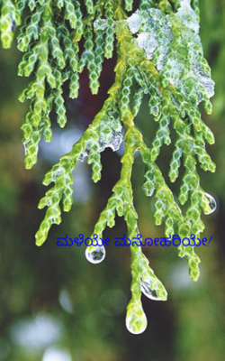 ಮಳೆಯೇ ಮನೋಹರಿಯೇ!