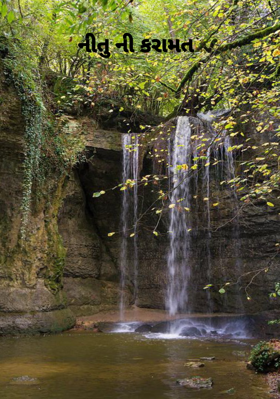 નીતુની કરામત