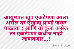 आयुष्यात खूप एकटेपणा आला असेल तर एखादा प्राणी जरूर पाळावा ; आणि तो कुत्रा असेल तर एकटेपणा कधीच नाही जाणवणार...!