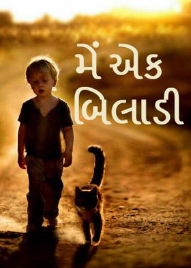મેં એક બિલાડી