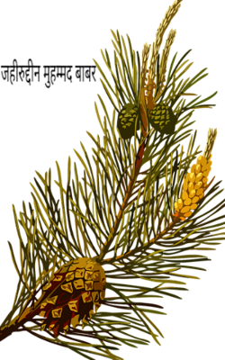 जहीरुद्दीन मुहम्मद बाबर