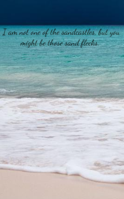 I am not one of the sandcastles at the but you might be those sand flecks.