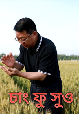 চাং ফু সুও