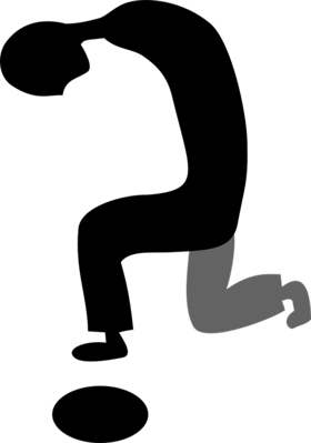 मैं भ्रम जी रहा था।