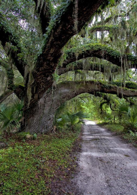 ନଗ୍ନ ମାନବିକତା