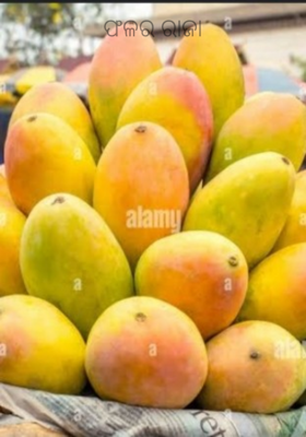 ଫଳର ରାଜା