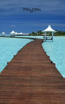 നടപ്പാലം