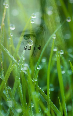 हिंदी बाणी