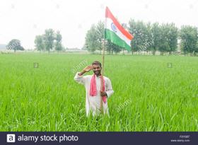 तेंव्हा कुठे...