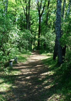 आजोबांची समज