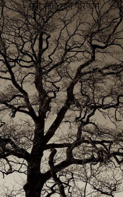 सही सोच सही परिणाम