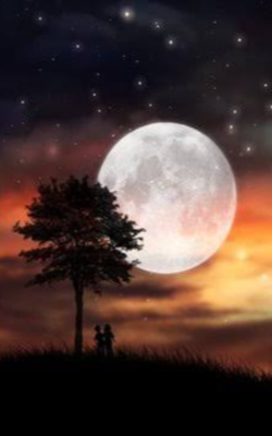 The Beauty Of The Night