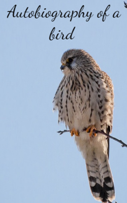Autobiography of a bird