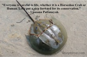 "Everyone is careful to life, whether it is a Horseshoe Crab or Human. Let's put a step forward for its conservation."
- Upasana Pattanayak.