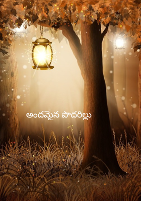 అందమైన పొదరిల్లు