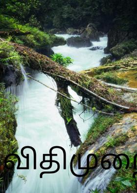 விதிமுறைகள்