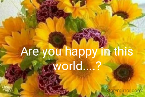 Are you happy in this world....?