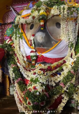 କାଳିଆସୁନା 