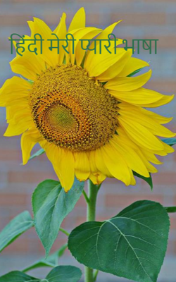हिंदी मेरी प्यारी भाषा
