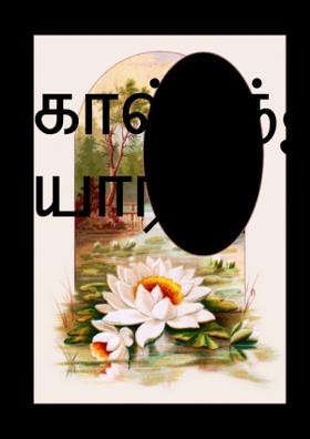 கால்பந்து வீரர் யார்