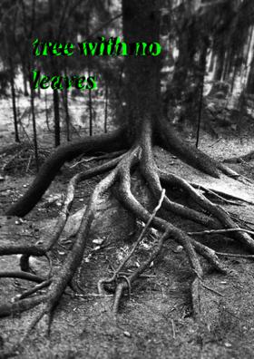 Tree With No Leaves