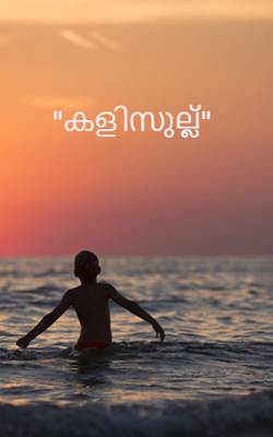 "കളിസുല്ല്"