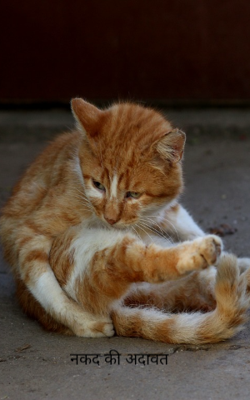 नकद की अदावत